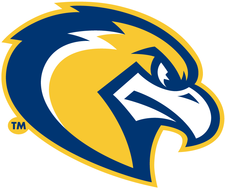 Marquette Golden Eagles 2005-Pres Alternate Logo iron on transfers for fabric